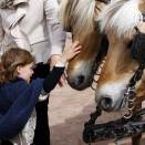 The Princess greets the horses that came with the Parade (Photo: Lise Åserud, Scanpix)
